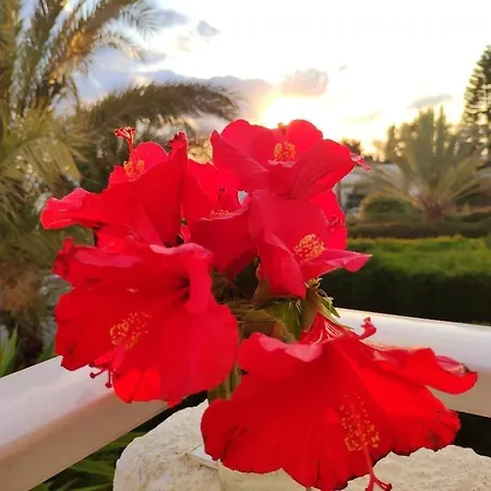 Sweet Coral Bay - Paphos, Seeblick, Strandnaehe Villa *